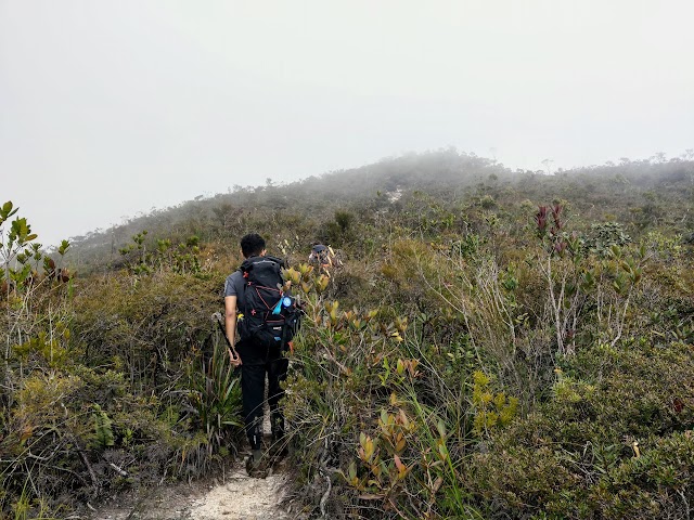 Mount Tahan Climbing