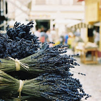 odori di Provenza di 