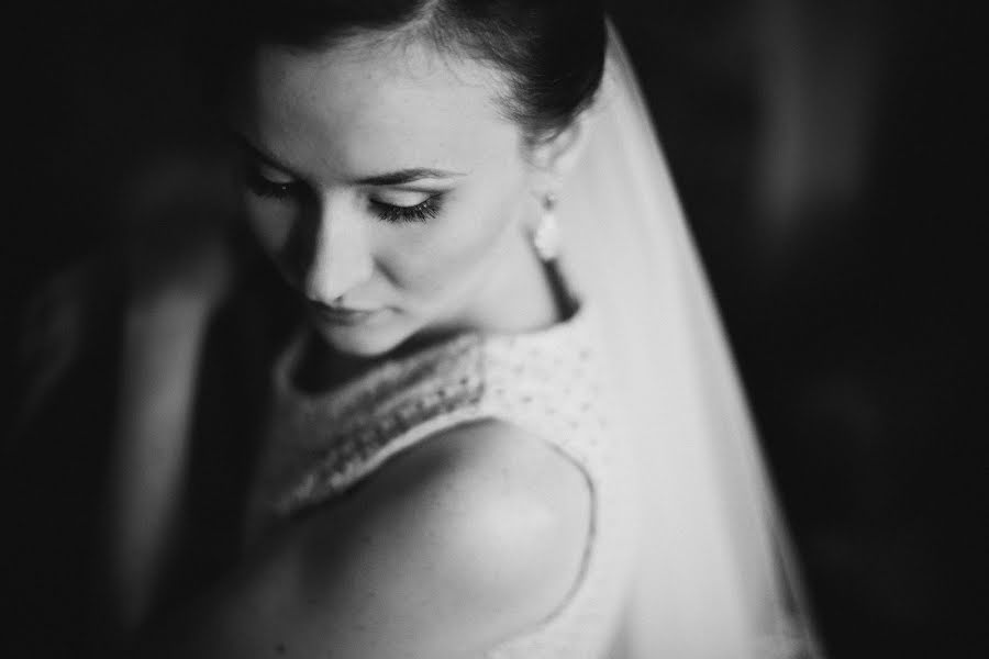 Wedding photographer Evgeniya Mayorova (evgeniamayorova). Photo of 9 December 2015
