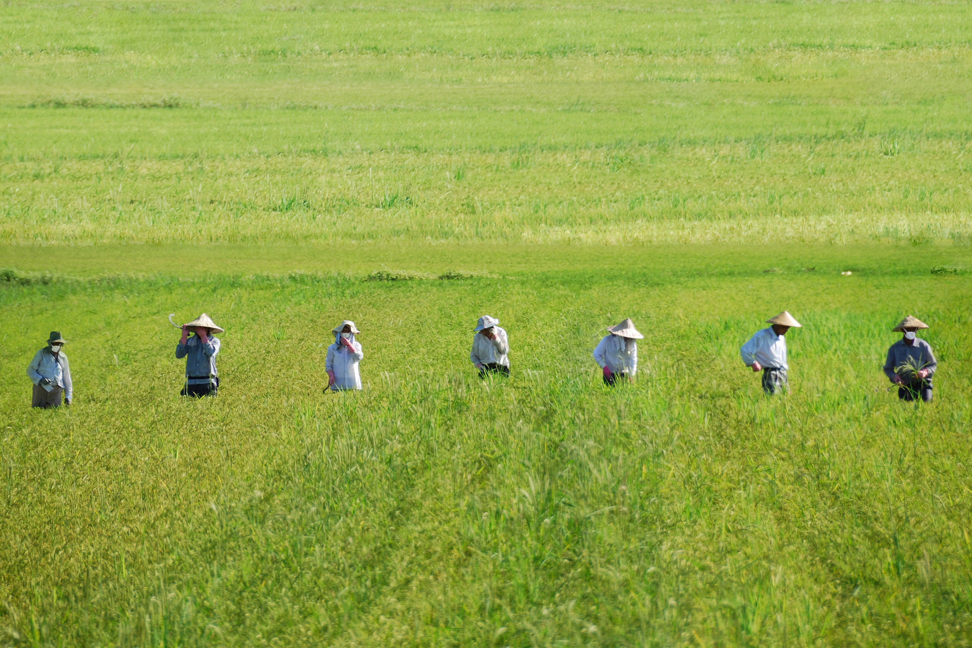 4 Maggio: Agricoltura 4.0 di giacominet