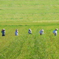 4 Maggio: Agricoltura 4.0 di 