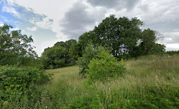 terrain à Prignac-et-Marcamps (33)