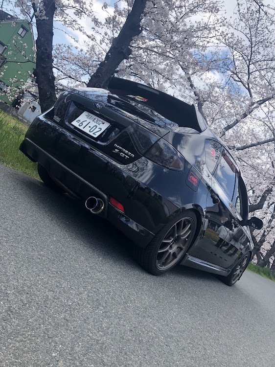 インプレッサの桜と愛車・岩倉・五条川・GH8に関するカスタム事例の投稿画像3枚目