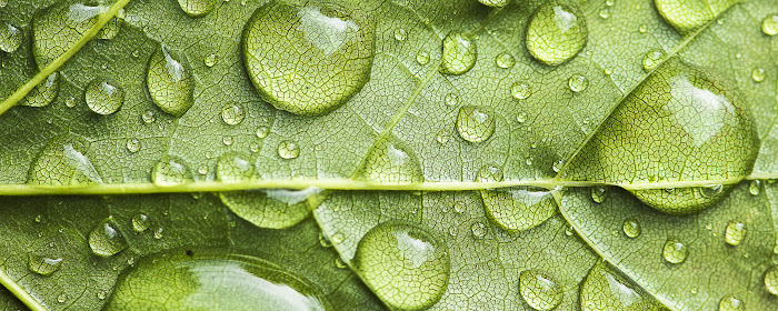 Water Drops - New Tab in HD marquee promo image