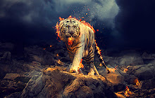 Tiger HD Wallpapers Theme New Tab small promo image