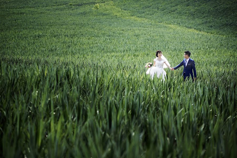 Fotografo di matrimoni Tón Klein (toanklein123). Foto del 26 ottobre 2017