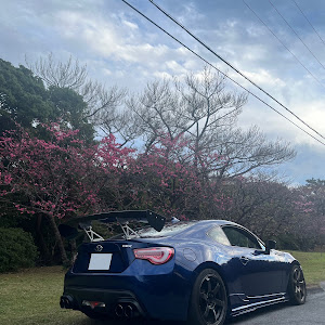 BRZ ZC6