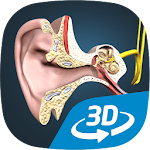 Cover Image of Download The mechanism of hearing VR 3D 1.1 APK