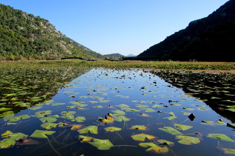 MONTENEGRO - CRNA GORA... ¡YA ERA HORA! - Blogs de Montenegro - Lovcen, Cetinje y Rijeka Crnojevica (13)