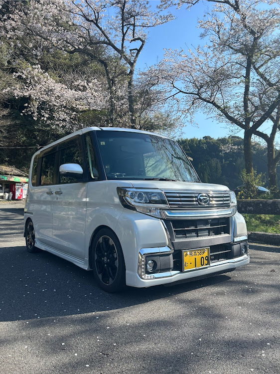 タントカスタムのタントカスタムla600s・4月もよろしくお願い致します🌸・桜と愛車・桜も見納めかな？・やっと洗車できた✨に関するカスタム事例の投稿画像6枚目