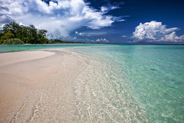                                                                    white sand beach