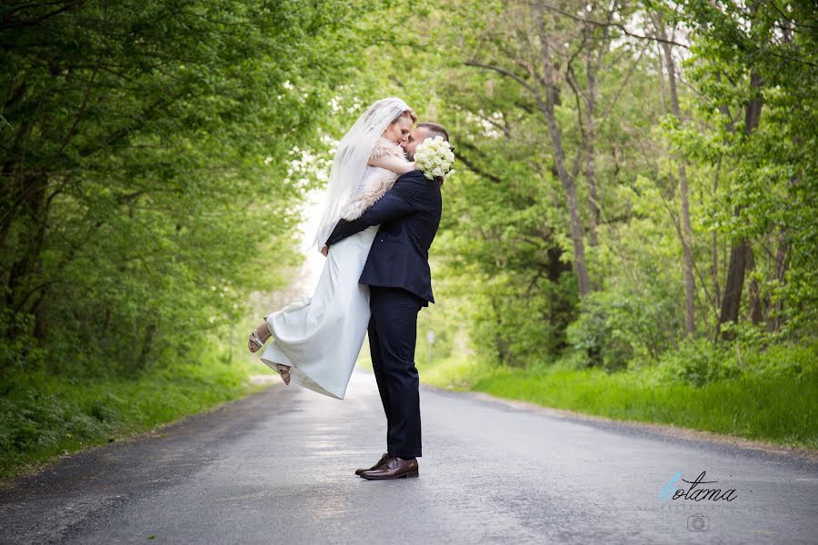 Fotografo di matrimoni Tamás Boros (botamaphoto). Foto del 25 febbraio 2019