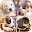 Puppy Zipper Lock Download on Windows