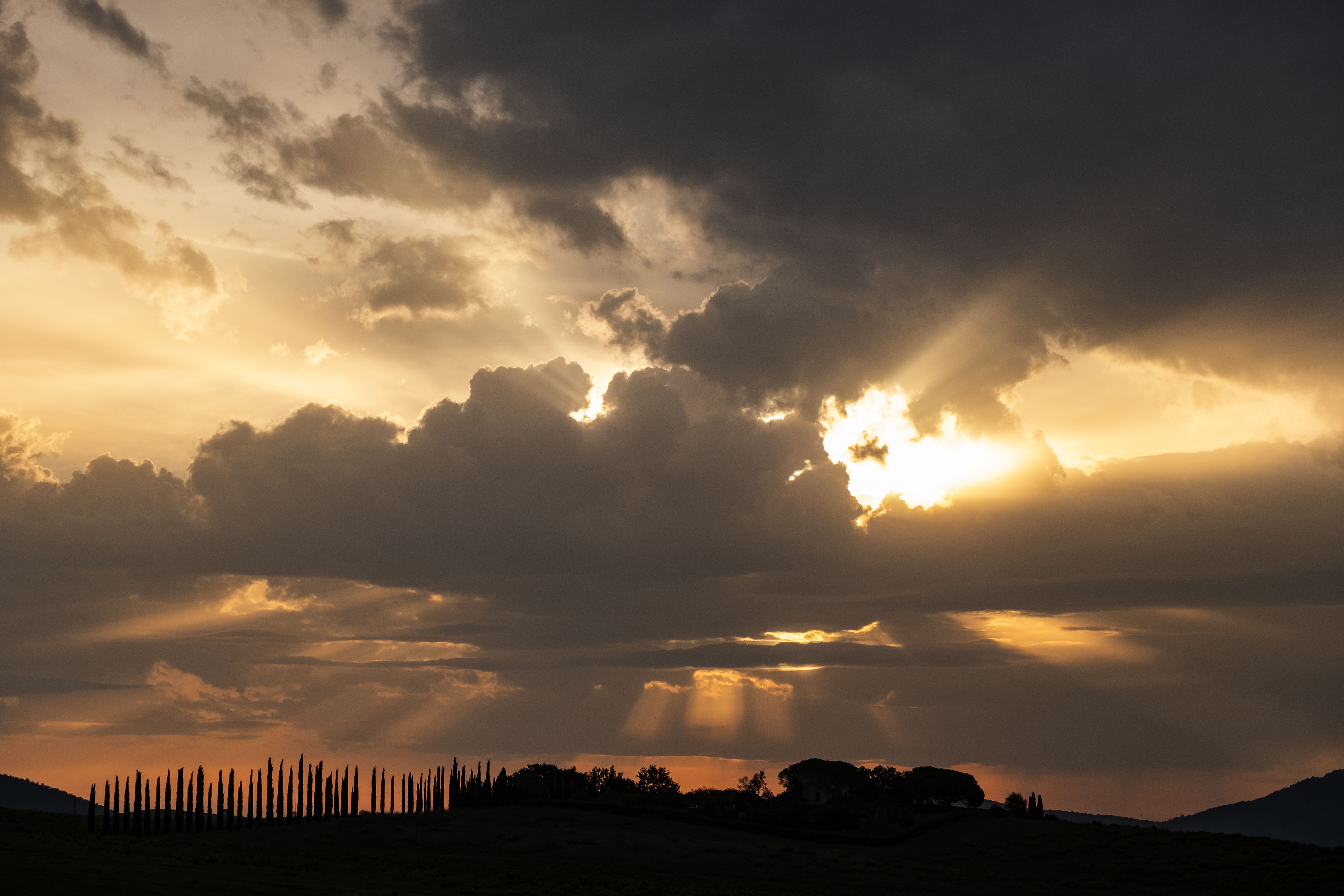 sotto le nuvole cipressi in fila indiana di Isashot