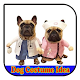 Download Dog Costume Idea For PC Windows and Mac 1.0