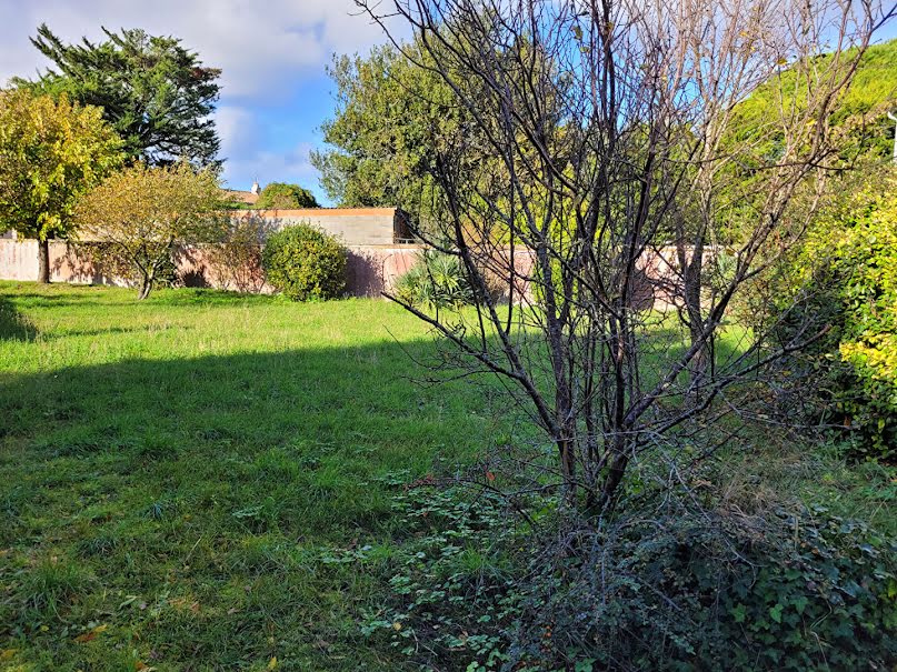 Vente terrain  560 m² à Le bois-plage-en-re (17580), 699 000 €