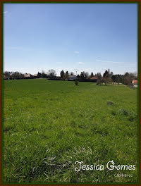 terrain à Mesnil-Sellières (10)