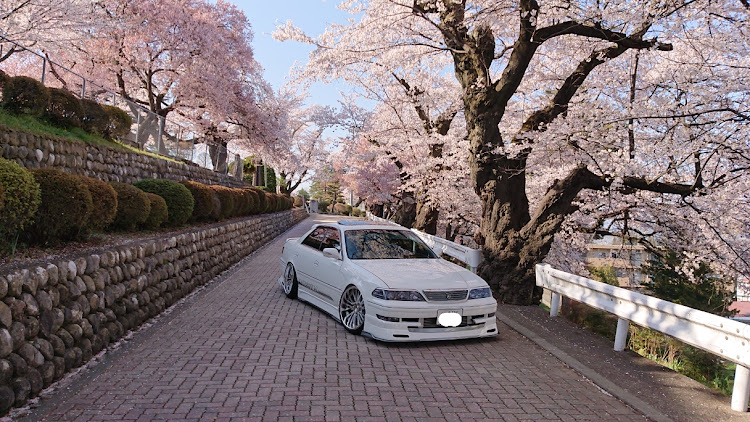 マークIIのマークII・JZX100・桜とコラボ🌸に関するカスタム事例の投稿画像4枚目