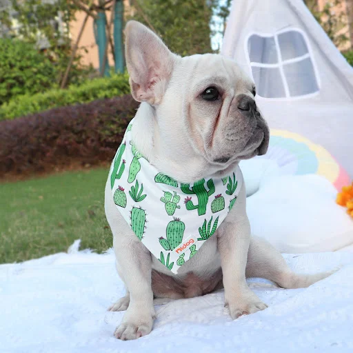 Soft Cotton Dog Bandana Scarf Cute Print Pet Cat Collar Scrafs Triangular Bandage For Small Medium Dogs Cats Pet Accesso