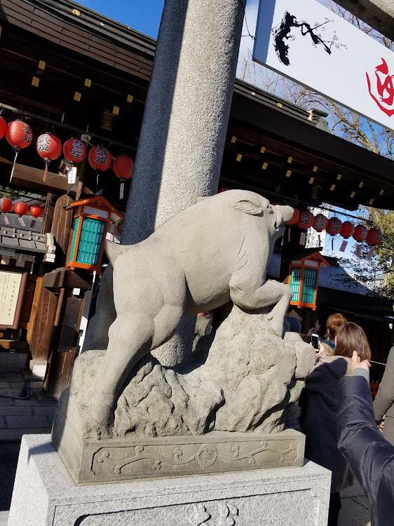 86の護王神社・城南宮・初詣に関するカスタム事例の投稿画像2枚目