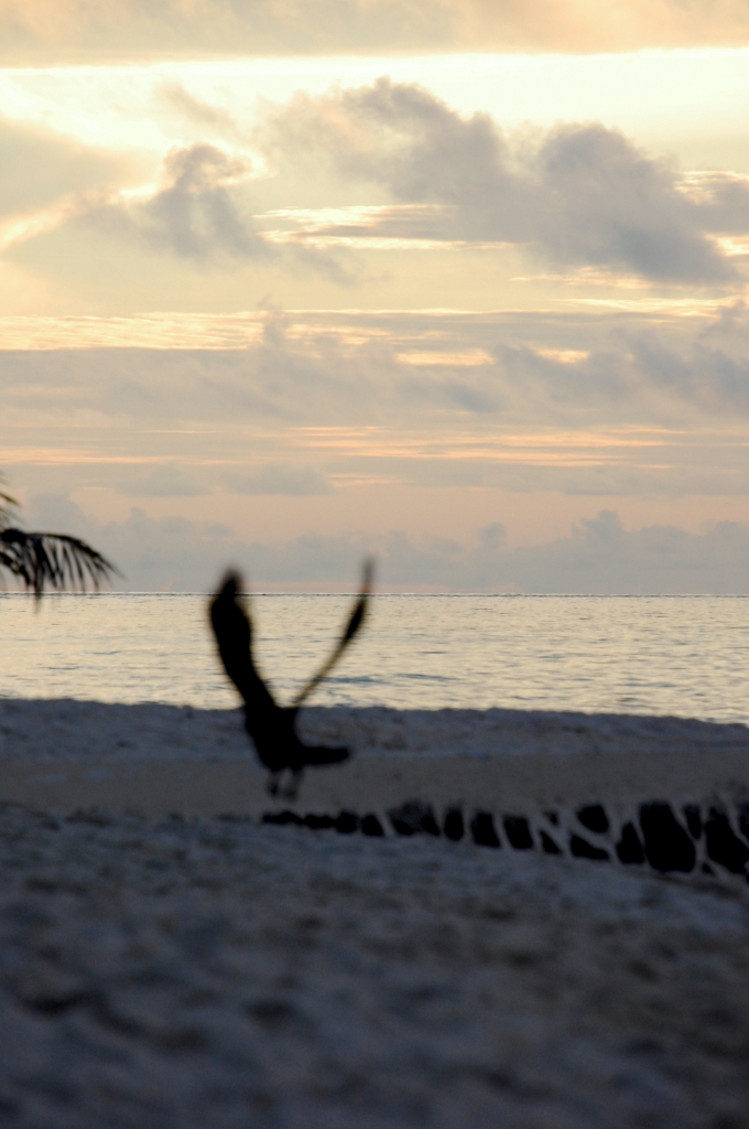 Volo in un paradiso di fuser