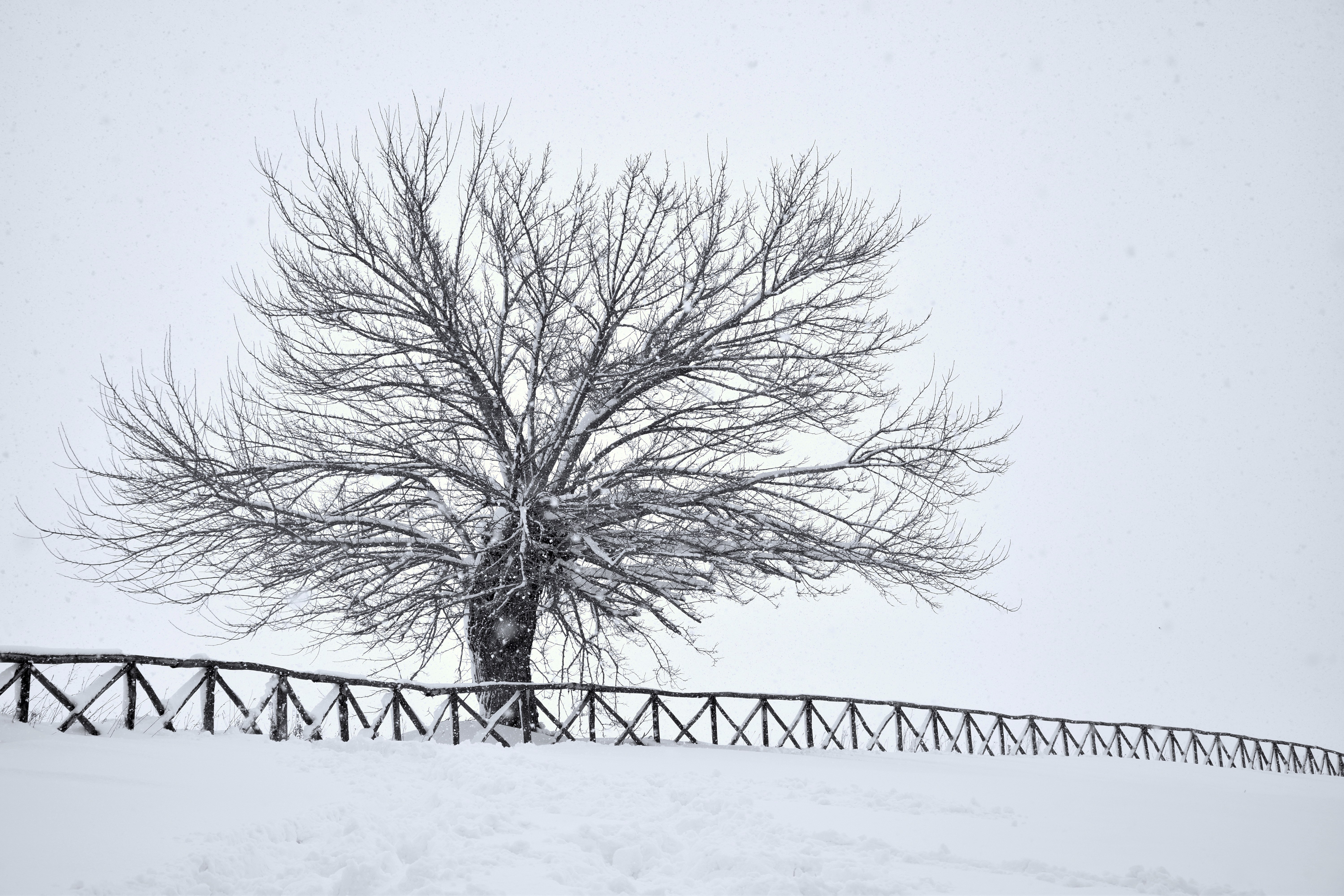 nevica! di s_ornella