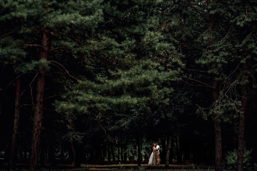 Fotógrafo de casamento Dmitriy Makarchenko (weddmak). Foto de 14 de julho 2018