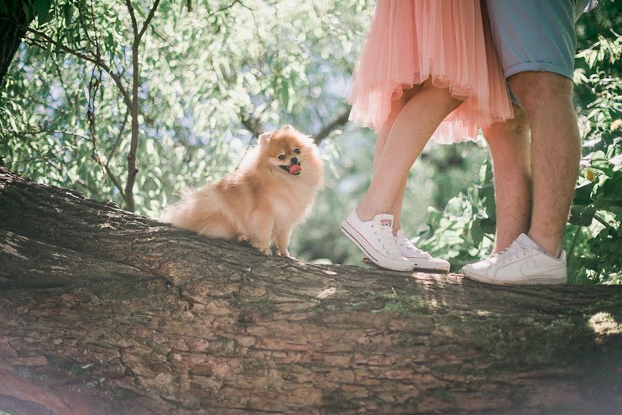 Wedding photographer Veronika Shashkova (roniphoto). Photo of 20 June 2017