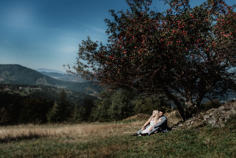 Hochzeitsfotograf Daria Ulman (daria1981). Foto vom 4. Oktober 2018