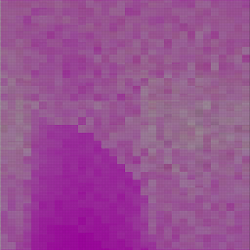phase #554