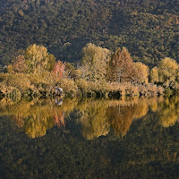 Riflessi in torbiera