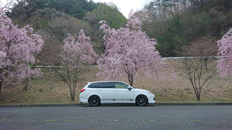 カローラフィールダーの今更感半端ない桜コラボ・似た様な画像ばかり・晴れた日の昼間に撮りたかったに関するカスタム事例の投稿画像8枚目