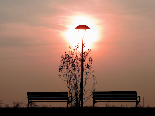 the sun illuminates the street lamp di renzo brazzolotto