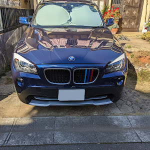 X1 xDrive 20i