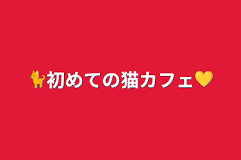 🐈初めての猫カフェ💛