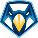 Skyhawk Football Chrome extension download