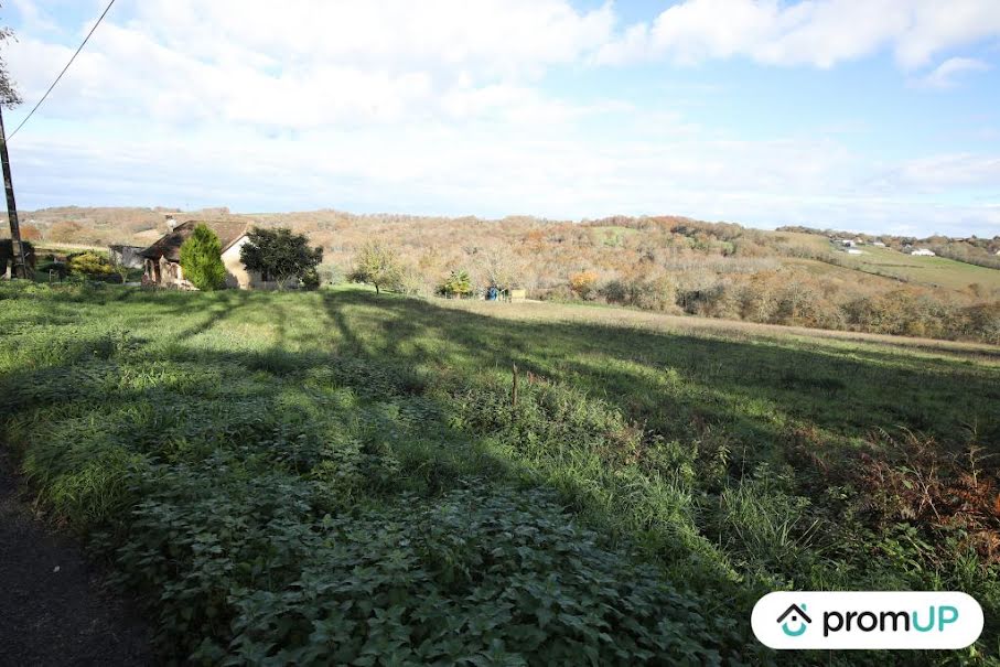 Vente terrain  1620 m² à Casteide-Cami (64170), 35 000 €