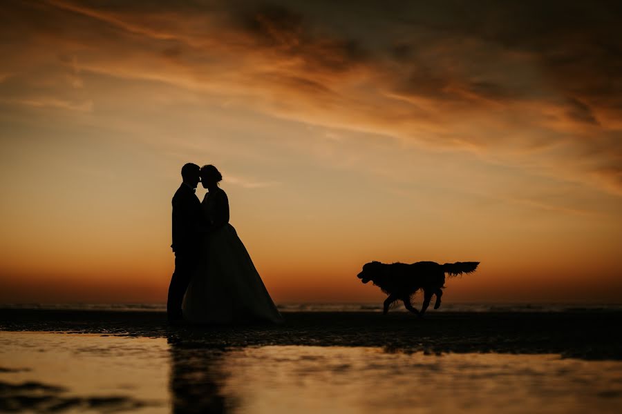 Fotografo di matrimoni Cédric Nicolle (cedricnicolle). Foto del 29 settembre 2019