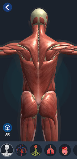 Screenshot Human Anatomy 3D