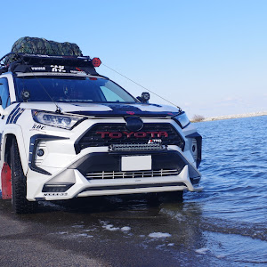 RAV4 MXAA52