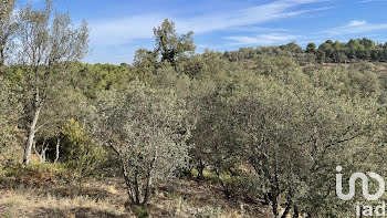 terrain à Llauro (66)