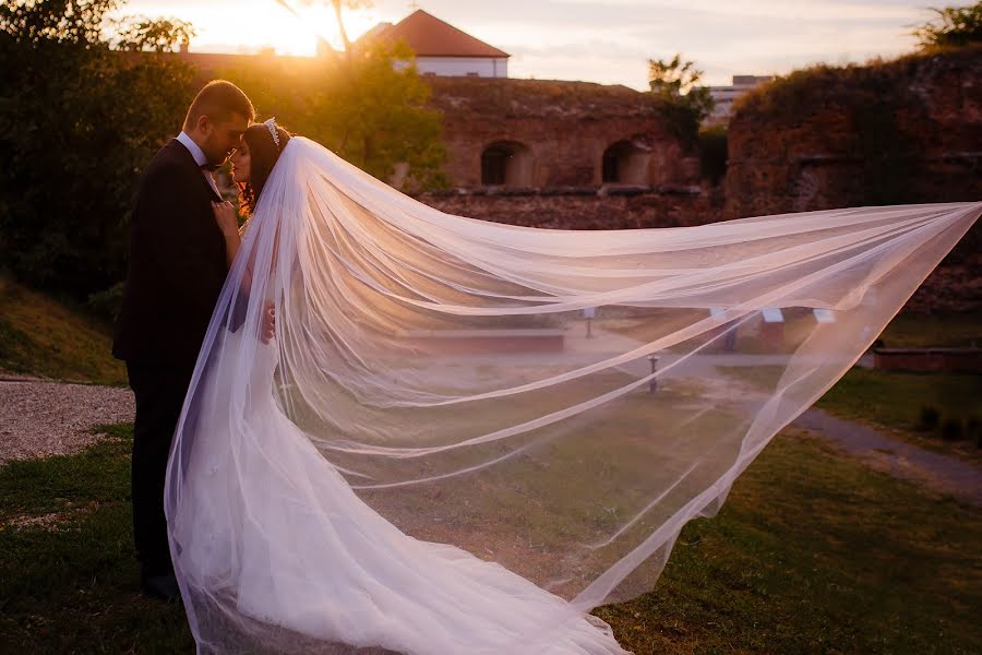 Wedding photographer Alexie Kocso Sandor (alexie). Photo of 26 January 2019