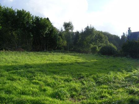 Vente terrain  1249 m² à Saint-Sever-Calvados (14380), 29 980 €