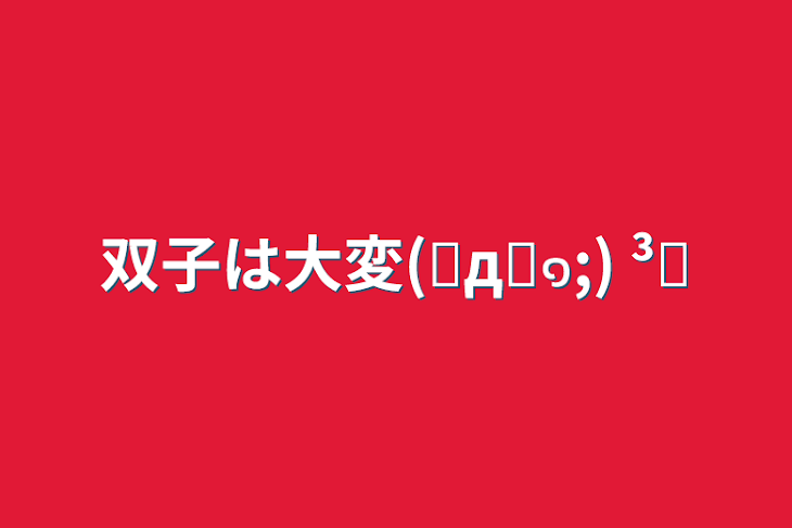 「双子は大変(✘д✘๑;) ³₃」のメインビジュアル