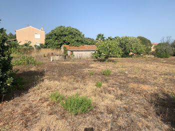 terrain à Six-Fours-les-Plages (83)