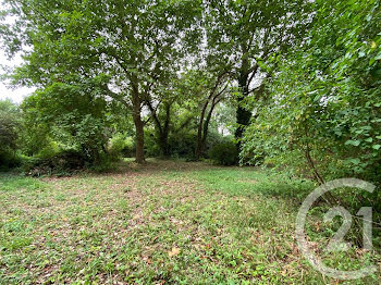 terrain à batir à Saint-Sauveur-sur-Ecole (77)