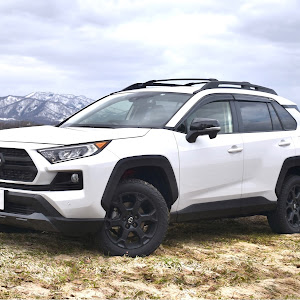 RAV4 MXAA54