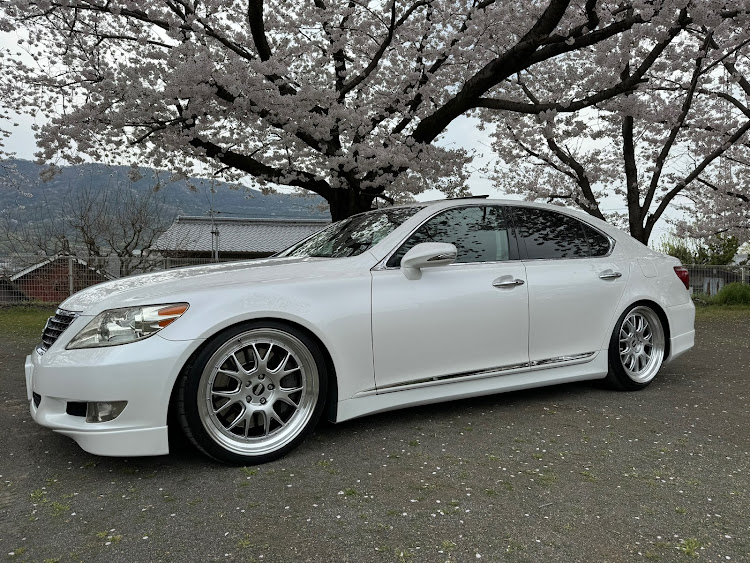 LSのレクサス・LS460・桜コラボ・花見・桜に関するカスタム事例の投稿画像1枚目