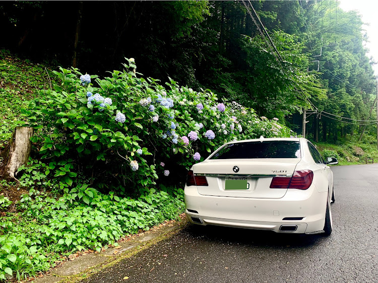 7シリーズのF01・750i・740i・#ローダウン・あじさいコラボに関するカスタム事例の投稿画像2枚目