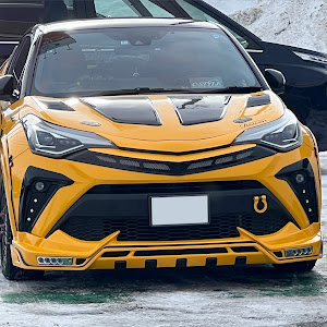 C-HR NGX10